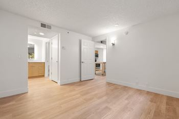 Brown wooden floor and two doors